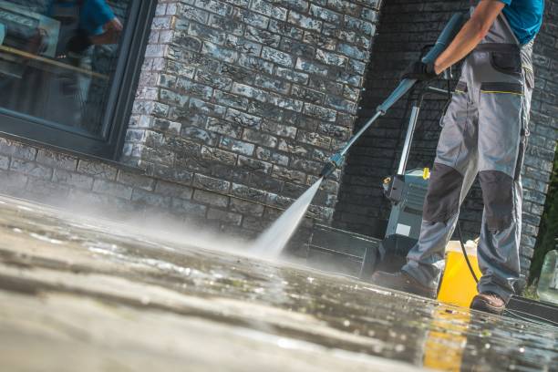 Best Fleet Vehicle Washing  in Princess Anne, MD