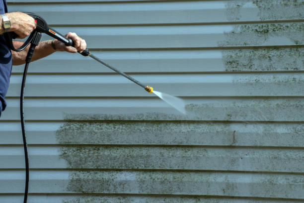 Best House Exterior Washing  in Princess Anne, MD